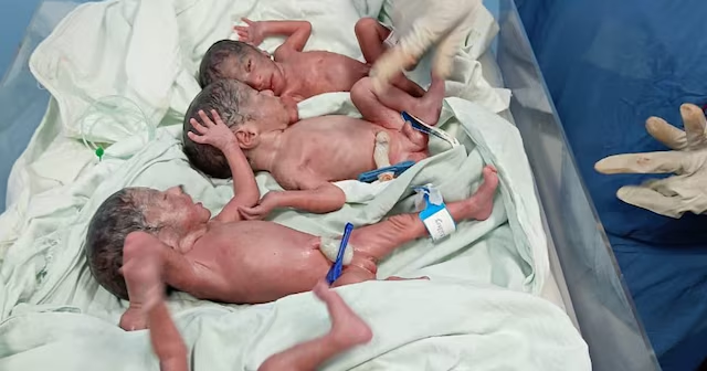 बरेली: महिला ने एक साथ 2 बेटे और 2 बेटियों को दिया जन्म, चारों नवजात स्वस्थ; परिवार में खुशी का माहौल. बरेली: महिला ने एक साथ 2 बेटे और 2 बेटियों को दिया जन्म, चारों नवजात स्वस्थ; परिवार में खुशी का माहौल.
