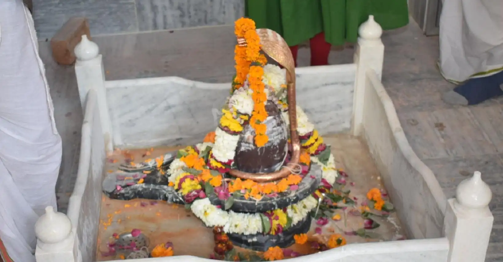इस अनोखे शिव मंदिर: में दवाओं का लगता है भोग, नई आयुर्वेदिक औषधि पहले चढ़ाई जाती है महादेव को इस अनोखे शिव मंदिर: में दवाओं का लगता है भोग, नई आयुर्वेदिक औषधि पहले चढ़ाई जाती है महादेव को